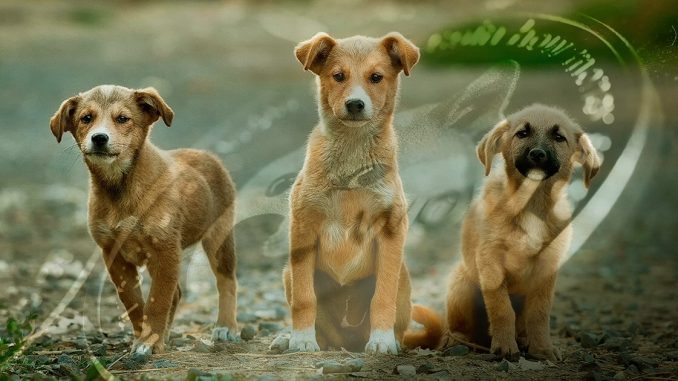 DeFi tool Cream Finance hit for over $18 million. Suffers second hack in six months