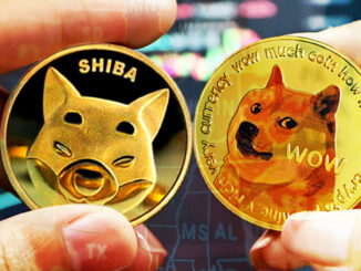 Shiba Inu and Dogecoin lead popularity charts in 30 U.S. states