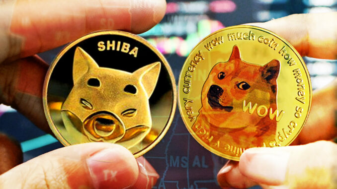 Shiba Inu and Dogecoin lead popularity charts in 30 U.S. states