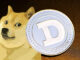 The Dogecoin Foundation reveals big plans for $DOGE in 2022