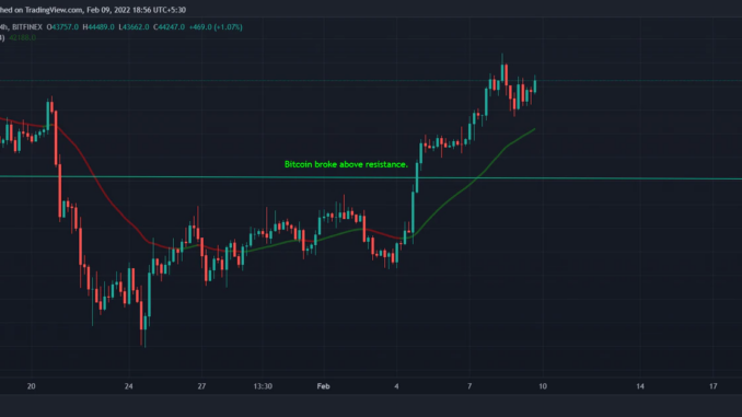 Bitfinex’s LEO Token Jumps 46%, XRP Gains Slightly in Flat Market