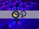 Acala, Anchor Join Forces to Unite Terra and Polkadot DeFi Ecosystems