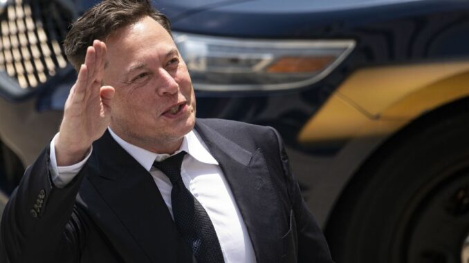 Elon Musk Shouldn't Lead Twitter