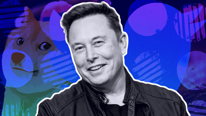 Musk buys $2.9B stake in Twitter, what does this mean for Dogecoin?
