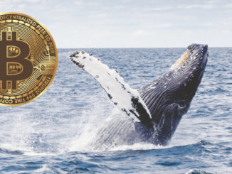 Bitcoin whale