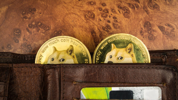 Robinhood CEO on how Dogecoin can be improved to outperform VISA