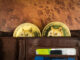Robinhood CEO on how Dogecoin can be improved to outperform VISA