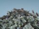 Skynet Trading Launches $40M Fund to Support Elrond Network’s DeFi Push