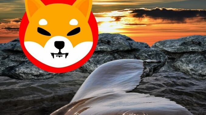 Shiba Inu whale