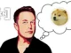 Elon Musk Shares Investment Tips with his Followers on Twitter