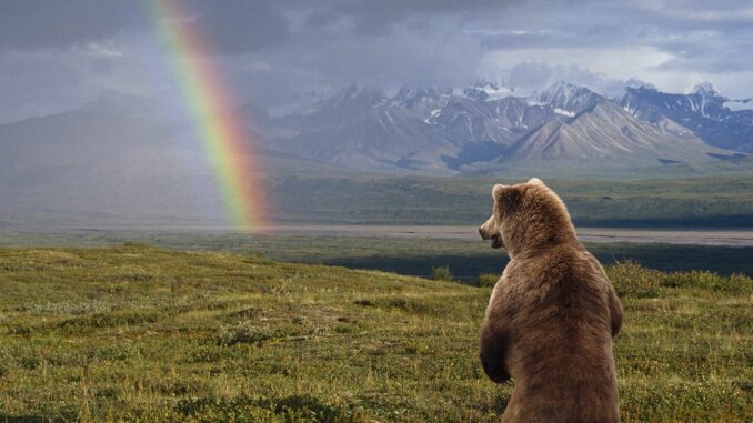 Facts or Feelings? Bitcoin Allocation Makes Sense Even in Nasty Bear Markets