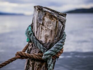 First Mover Asia: How Traders Are Shorting Tether Stablecoins; Bitcoin Falls but Holds Above $20K