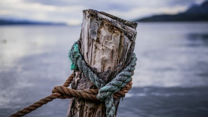 First Mover Asia: How Traders Are Shorting Tether Stablecoins; Bitcoin Falls but Holds Above $20K