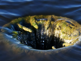 Investment Firm Cypherpunk Holdings Sells All of Its Bitcoin and Ether