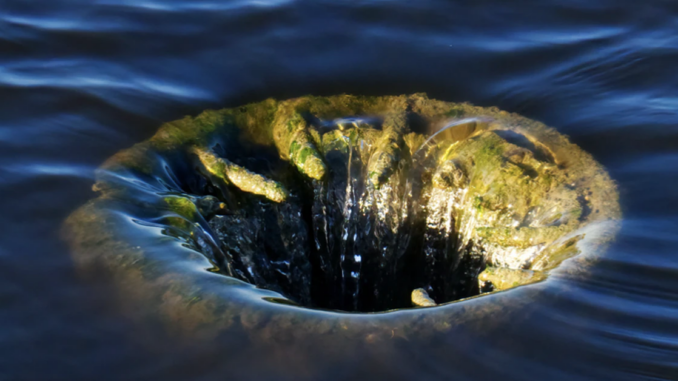 Investment Firm Cypherpunk Holdings Sells All of Its Bitcoin and Ether