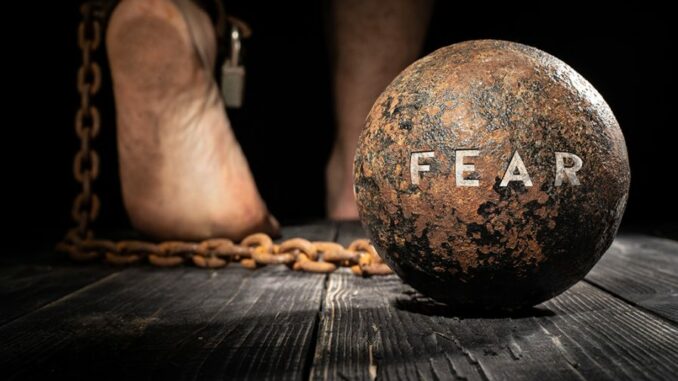 crypto market extreme fear