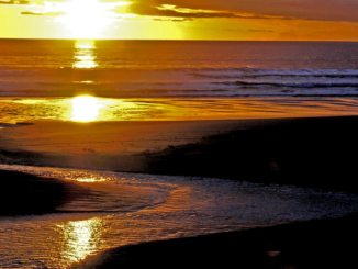 Market Wrap: From GBTC Discount to Short Bitcoin ETF, Traders See Reasons for Optimism