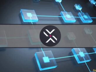 Polkadex Locks in Polkadot Parachain Slot by Allocating Nearly 1 Million DOT