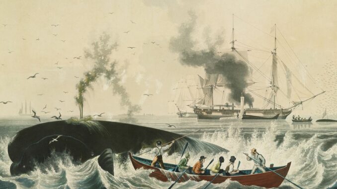 Solana’s Biggest DeFi Lender Almost Got Rekt. Then Binance Stepped In