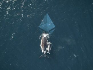Ethereum whales