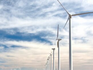 First Mover Asia: Speculating on Tokenized Carbon Offsets Won't Help Climate Crisis, Says Consultant; BTC Falls Under $19K Amid Wider Crypto Woes