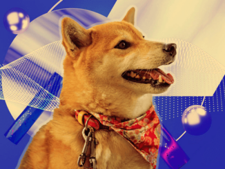 Dogecoin team warns Dogechain is ‘another knockoff token’
