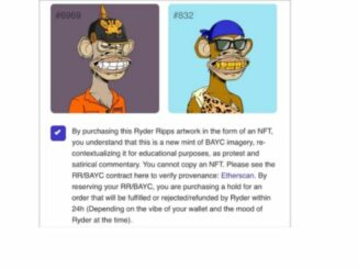 Ryder Ripps BAYC disclaimer