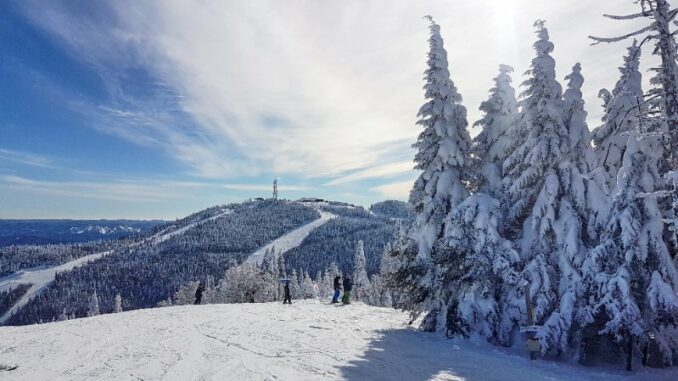 Bitcoin to bottom in Q4 this year