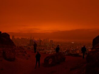 How the Tech Elite Plans to Escape an 'Apocalypse' of Its Own Making