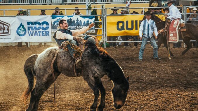 Market Wrap: Bitcoin Takes Investors on a Wild Ride