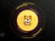 Is BabyDoge Top Dog When It Comes to Memecoins?