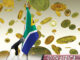 South African Financial Sector Regulator Declares Crypto Assets a Financial Product – Regulation Bitcoin News