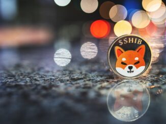 Shiba Inu price explodes ahead of key updates