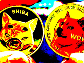 DOGE, SHIB continue trend of spikes following Musk tweets