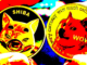 DOGE, SHIB continue trend of spikes following Musk tweets