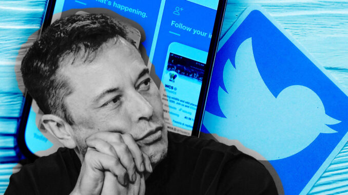 Elon Musk likely to resign as Twitter poll votes 57.5% in favor of him stepping down, DOGE falls 3%