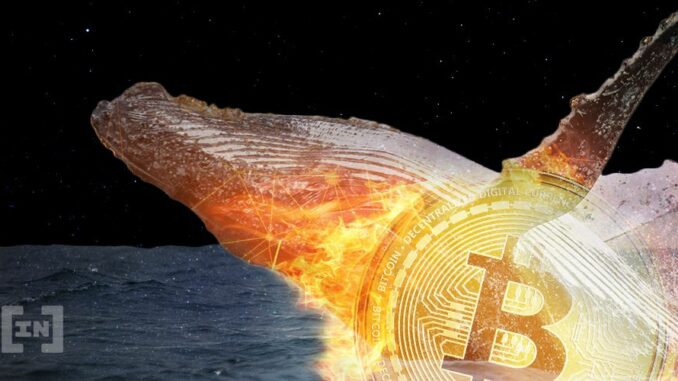 Whale Watching: The Top 5 Crypto Transactions of the Week