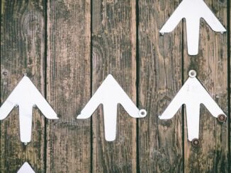 Bitcoin Retakes $20K, Leading as Broad Crypto Rally Continues