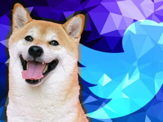 Elon Musk tweet pumps FLOKI over 40%