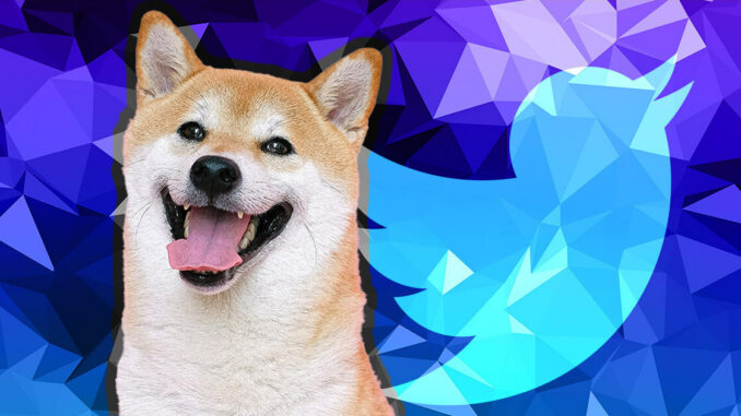 Elon Musk tweet pumps FLOKI over 40%