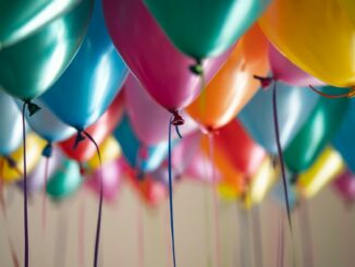 Cardano DEX Minswap Sees Volume Jump Driven by SNEK, BANK Meme Coins