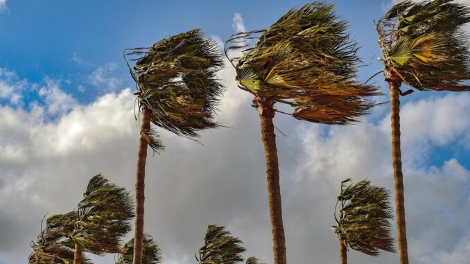 BTC, ETH Supply on Crypto Exchanges Fell in June: Goldman Sachs