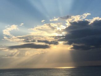 SBF Trial Feature image