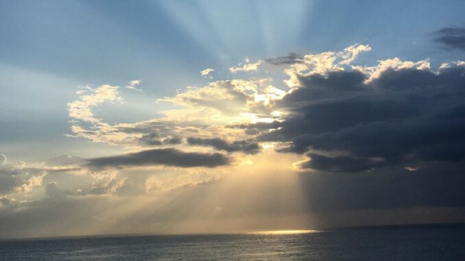 SBF Trial Feature image