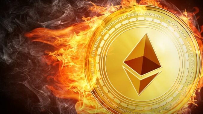 Ethereum burn meme coins
