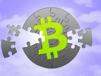 Public Companies’ Bitcoin Bet: Can They Weather the Bear Market Storm?