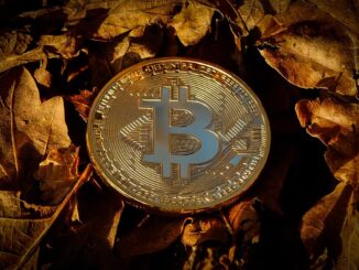 Elon Musk’s SpaceX Moves Bitcoin Holdings For The First Time In 3 Years, Here’s Where It Went
