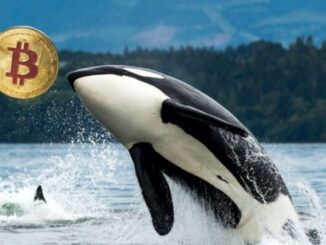 Wallet linked to Satoshi-era Bitcoin whale moves 9,000 BTC to Galaxy Digital