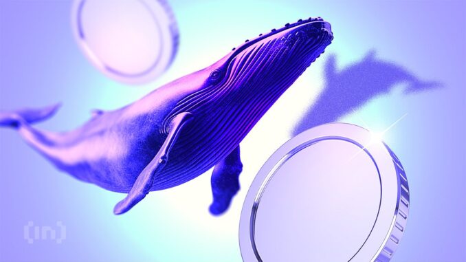 MEXC Apologizes Over $3 Million Dispute With The White Whale