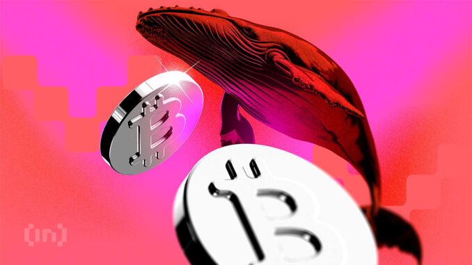 New Gen Bitcoin Whales Face Potential Losses in November